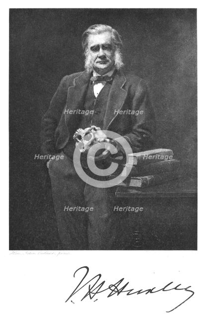 Thomas Henry Huxley, English biologist, 1883. Creator: Unknown.