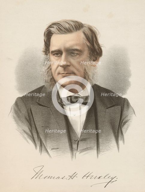 Thomas Henry Huxley, English biologist, c1880. Creator: Unknown.