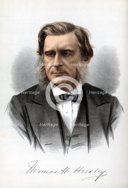 Thomas Henry Huxley, English biologist, c1890.Artist: Cassell, Petter & Galpin