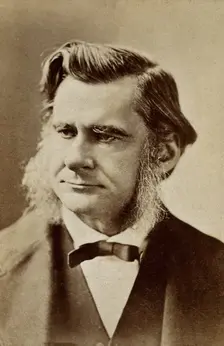 Thomas Henry Huxley, late 19th century. Creator: London Stereoscopic & Photographic Co
