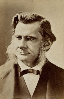 Thomas Henry Huxley, late 19th century. Creator: London Stereoscopic & Photographic Co