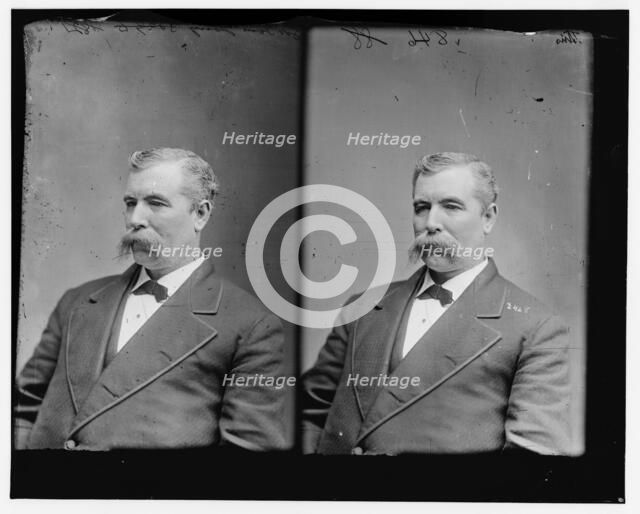 Thomas L. Young of Ohio, 1865-1880. Creator: Unknown.