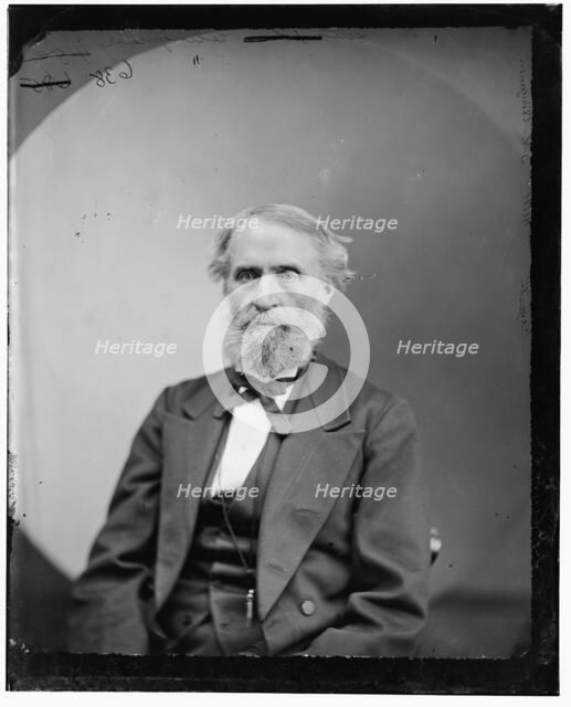 Thomas Lanier Clingman of North Carolina, between 1865 and 1880. Creator: Unknown.