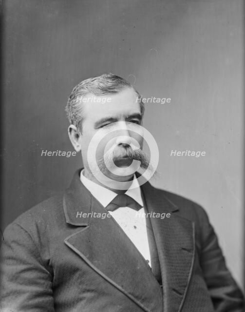 Thomas Lowry Young of Ohio, between 1865 and 1880. Creator: Unknown.