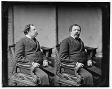 Thomas Peck Ochiltree of Texas, between 1865 and 1880. Creator: Unknown