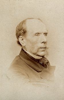 Thomas Sidney Cooper, c1870s. Creator: Elliott & Fry