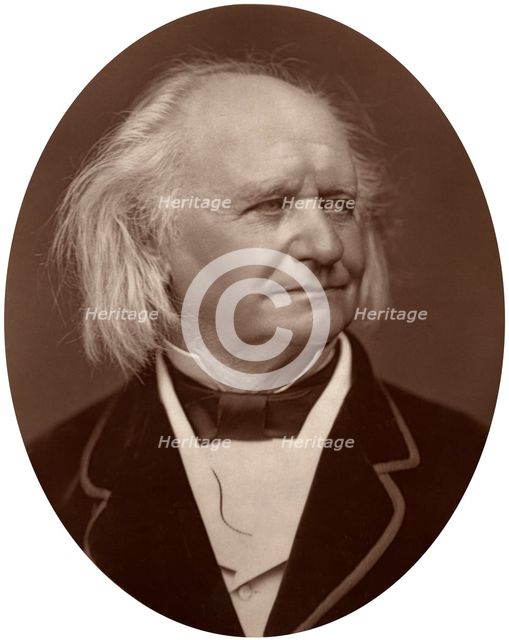 Thomas Webster, painter, 1878.Artist: Lock & Whitfield