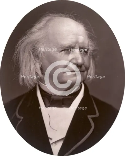 Thomas Webster, painter, 1878. Creator: Lock & Whitfield.