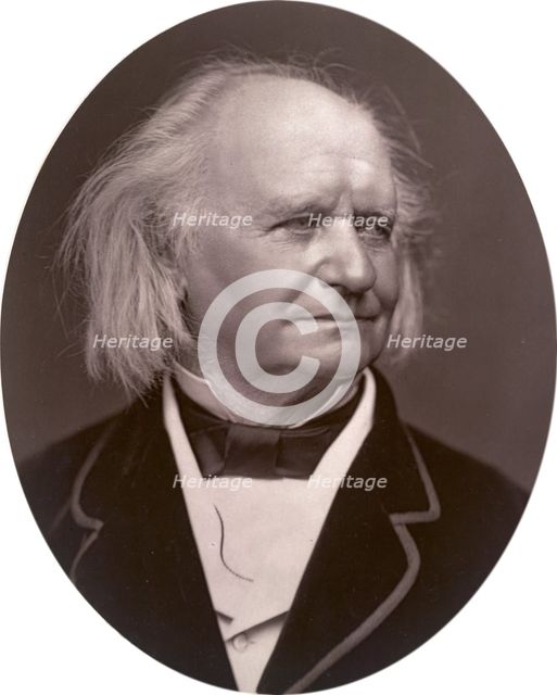 Thomas Webster, painter, 1878. Creator: Lock & Whitfield.