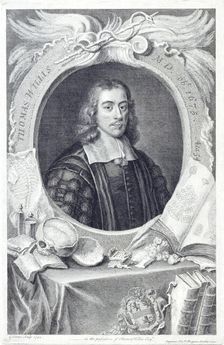 Thomas Willis, physician, 1742. Artist: George Vertue