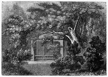 Thomson the Poet's Alcove, Richmond, Surrey, 1840
