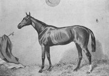 Thormanby c1860, (1911)