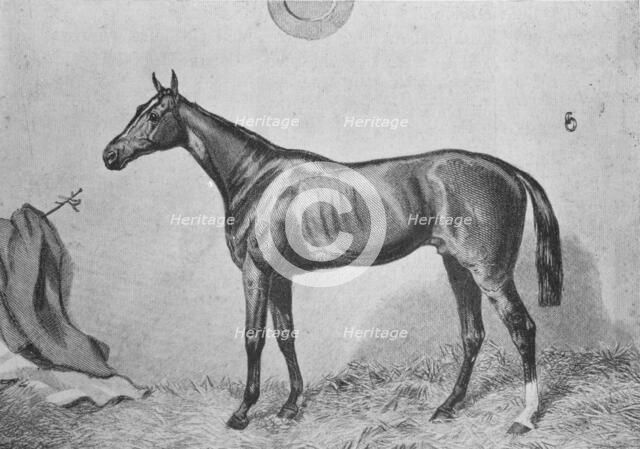 'Thormanby', c1860, (1911). Artist: Unknown.