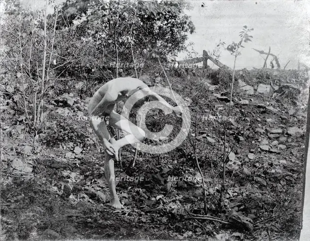 Thorn Puller, c. 1883. Creator: Thomas Eakins.