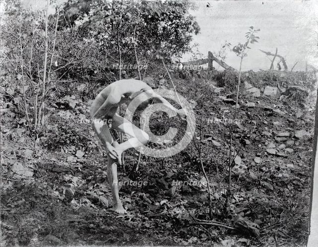 Thorn Puller, c. 1883. Creator: Thomas Eakins.