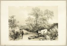 Thorn, Willow, Beech and Birch, from The Park and the Forest, 1841. Creator: James Duffield Harding