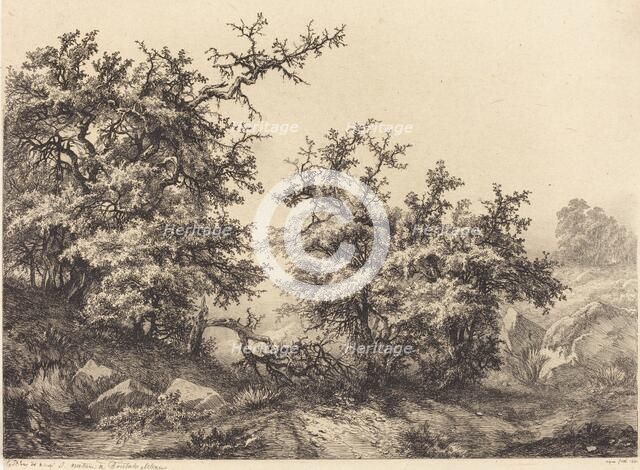 Thornbushes, 1840. Creator: Eugene Blery.