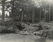 "Thornewood," Chester Thorne house, Lakewood, Washington, 1923. Creator: Frances Benjamin Johnston