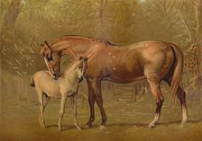 Thoroughbred Mare & Foal c1879. Creator: Unknown