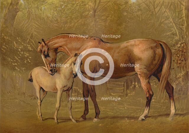 'Thoroughbred Mare & Foal', c1879. Creator: Unknown.