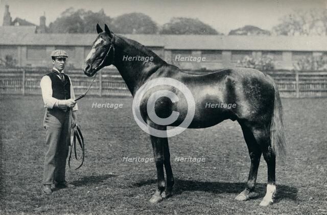 Thoroughbred racehorse, Bend Or, c1880. Artist: Unknown