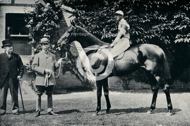 Thoroughbred racehorse, Ladas, 1894. Artist: Unknown