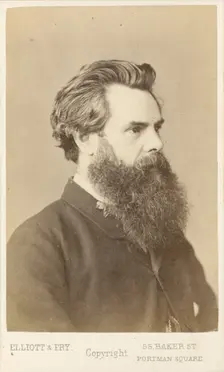 Thos. Woolner, c1865. Creator: Elliott & Fry