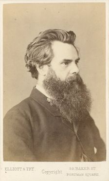 Thos. Woolner, c1865. Creator: Elliott & Fry