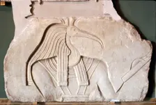 Thoth: Egyptian God: Ibis headed. Vatican