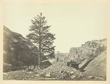 Thousand Mile Tree, Wilhelmina's Pass, 1868/69. Creator: Andrew Joseph Russell