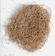 Thread, Coptic, 580-640. Creator: Unknown