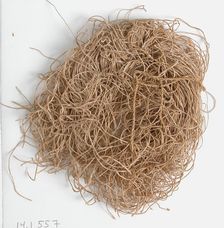 Thread, Coptic, 580-640. Creator: Unknown