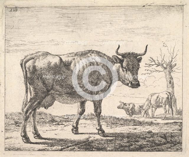 Three Cows. Creator: Adriaen van de Velde.