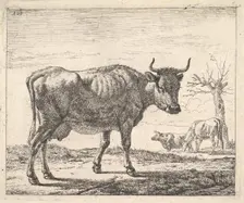 Three Cows. Creator: Adriaen van de Velde