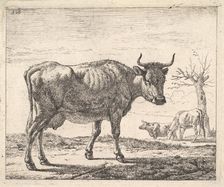 Three Cows. Creator: Adriaen van de Velde