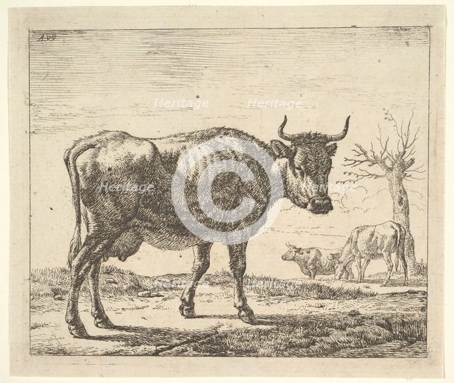 Three Cows, from Different Animals. Creator: Adriaen van de Velde.
