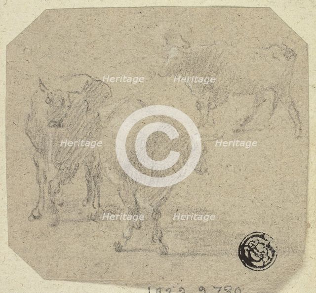 Three Cows, n.d. Creator: Unknown.