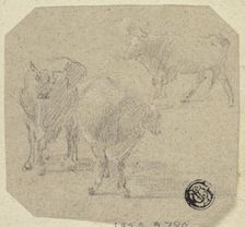 Three Cows, n.d. Creator: Unknown