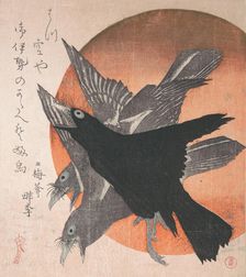Three Crows against the Rising Sun, from the series Three Sheets (Mihira no uchi) , ..., mid- 1810s. Creator: Totoya Hokkei