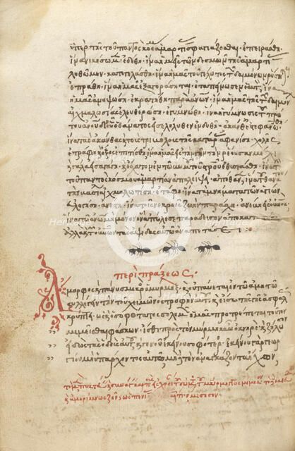 Three Ants, 1510-1520. Creator: Unknown.