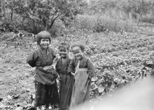 Three Ainu children standing in a garden, 1908. Creator: Arnold Genthe