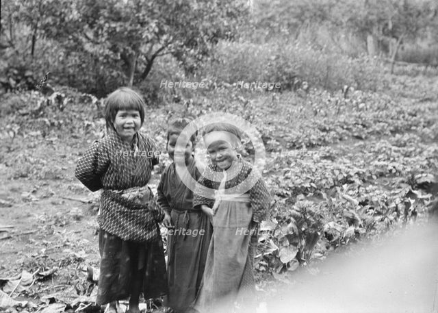 Three Ainu children standing in a garden, 1908. Creator: Arnold Genthe.