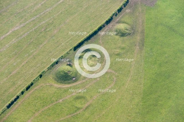 Three barrow clump round barrow cemetery, Winterbourne Poor Lot, Dorset, 2015. Creator: Historic England Staff Photographer.