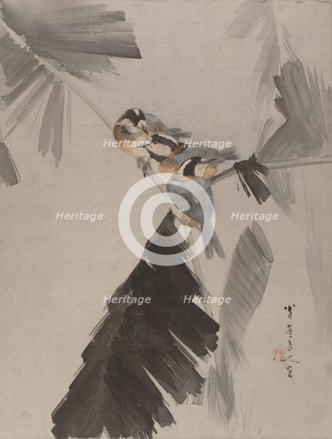 Three Birds on Branch, ca. 1887. Creator: Watanabe Seitei.