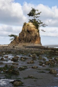 Three Brothers. Creator: Joshua Johnston