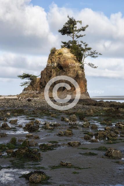 Three Brothers. Creator: Joshua Johnston.