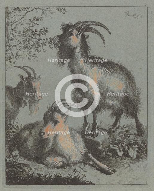 Three Goats, 1758. Creator: Francesco Londonio.