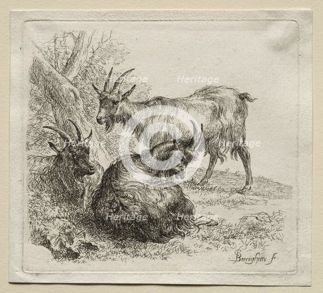 Three Goats. Creator: Nicolaes Berchem (Dutch, 1620-1683).