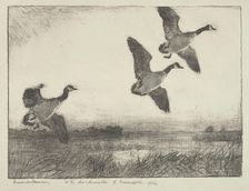 Three Geese, 1936. Creator: Frank Weston Benson
