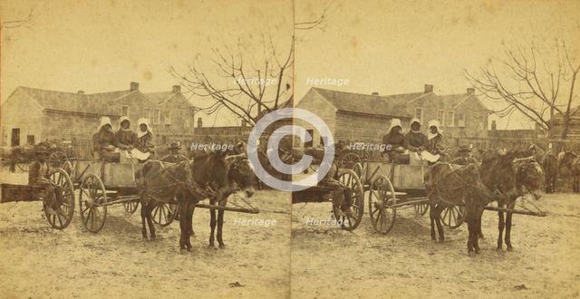 Three graces, [Three women in a mule cart], (1868-1900?). Creator: Unknown.